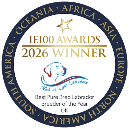 IE100 Winner