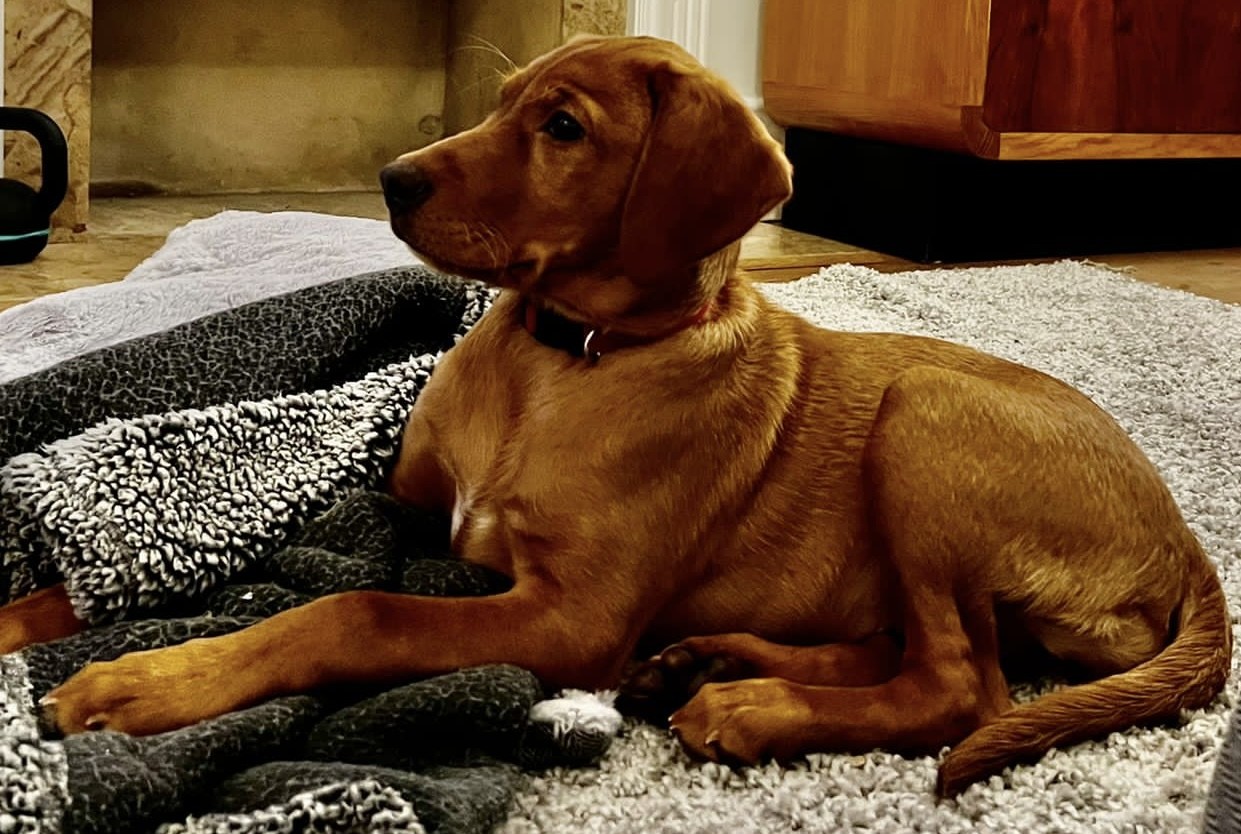 B443528E-52D8-4B51-A550-F11B13E56884