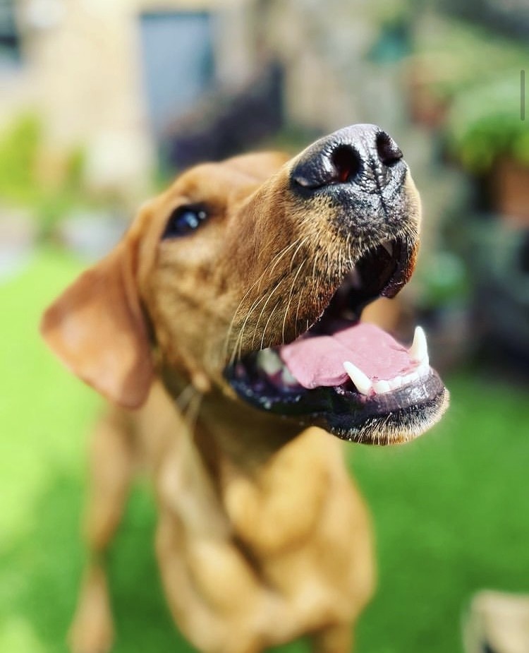 EDE65F57-F1CC-42C5-B35F-18593713E09D