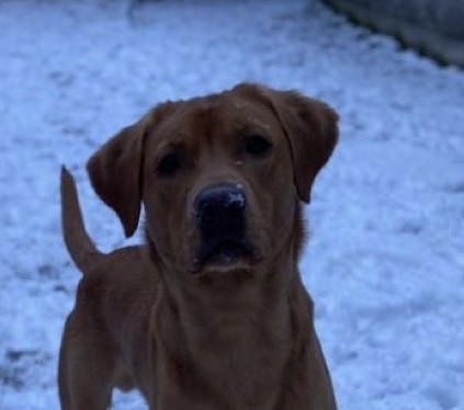 Magnus 12 Month Review