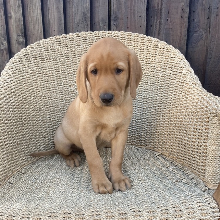 0FCD7491-E13E-4EDC-9927-5CDB76B4AD63