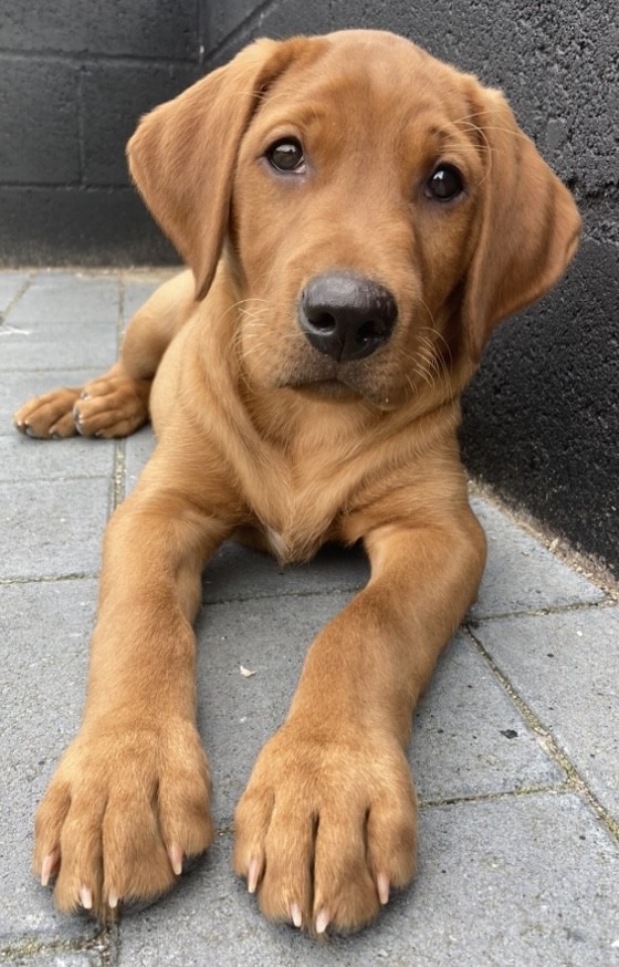 871C42E7-3BE2-4110-9284-0E68330D9CF3