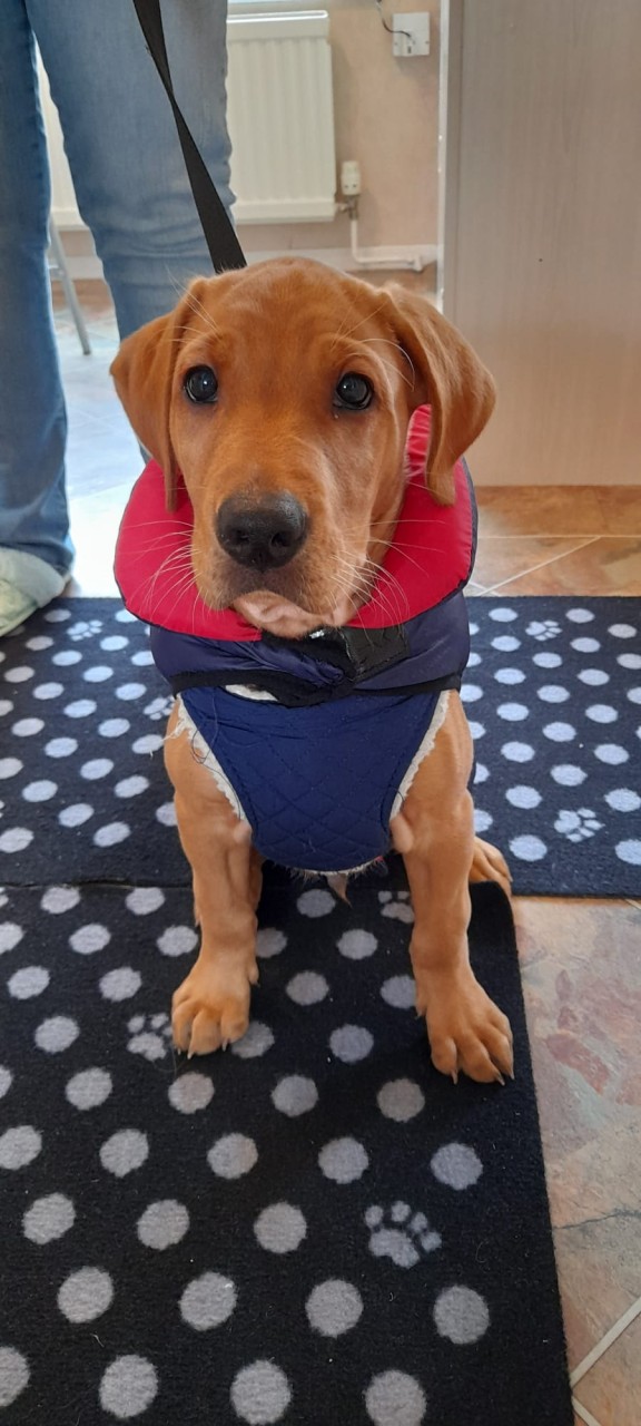 627a2e1d-23b5-49c6-9327-c0da49b76f14