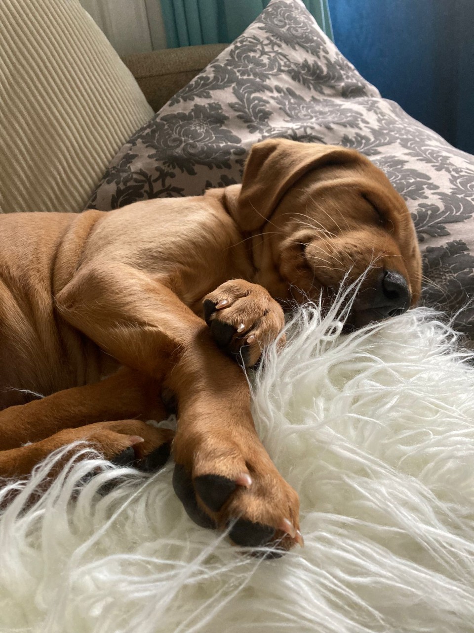 afff8692-5c16-48d1-9e6d-42a13a5d1f49