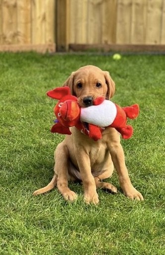 041f8ef4-1815-4a78-9dd4-c18696419da1